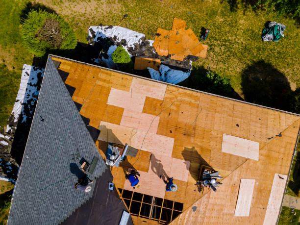 Best Emergency Roof Repair  in Waynesville, OH