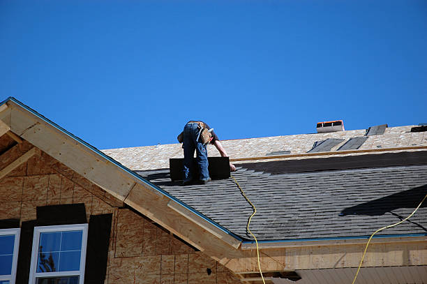 Best Roof Gutter Cleaning  in Waynesville, OH