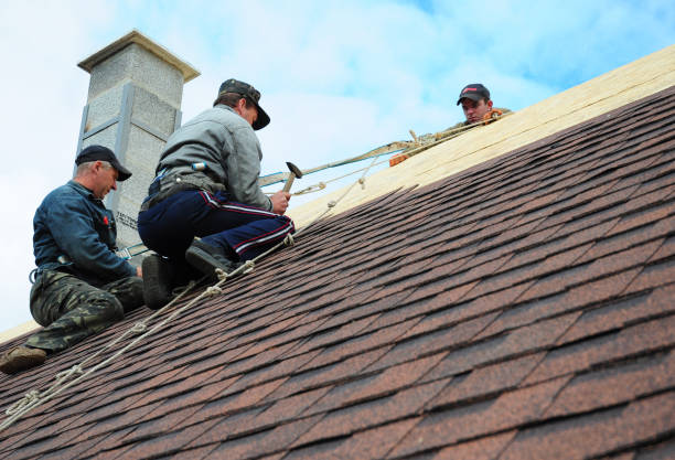 Quick and Trustworthy Emergency Roof Repair Services in Waynesville, OH